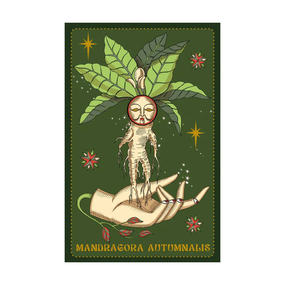 Cartas Oráculo Herbarium