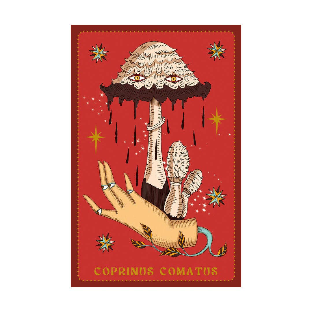Cartas Oráculo Herbarium
