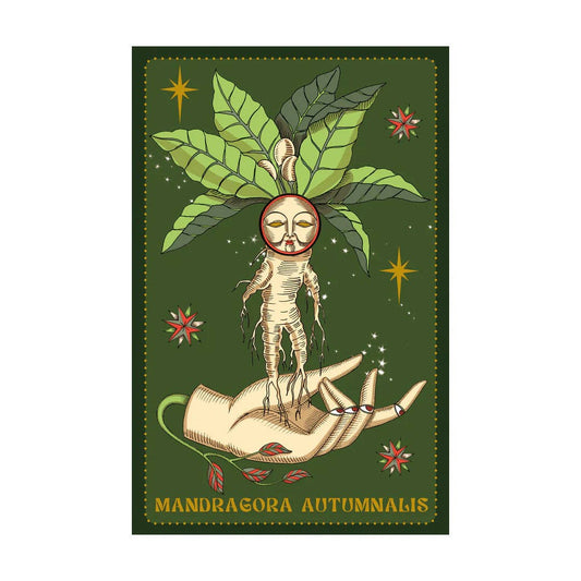 Cartas Oráculo Herbarium