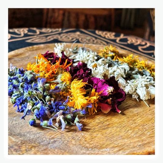 Flor del Encís – Mezcla Ritual Artesanal de Hierbas y Flores Mágicas (5g)