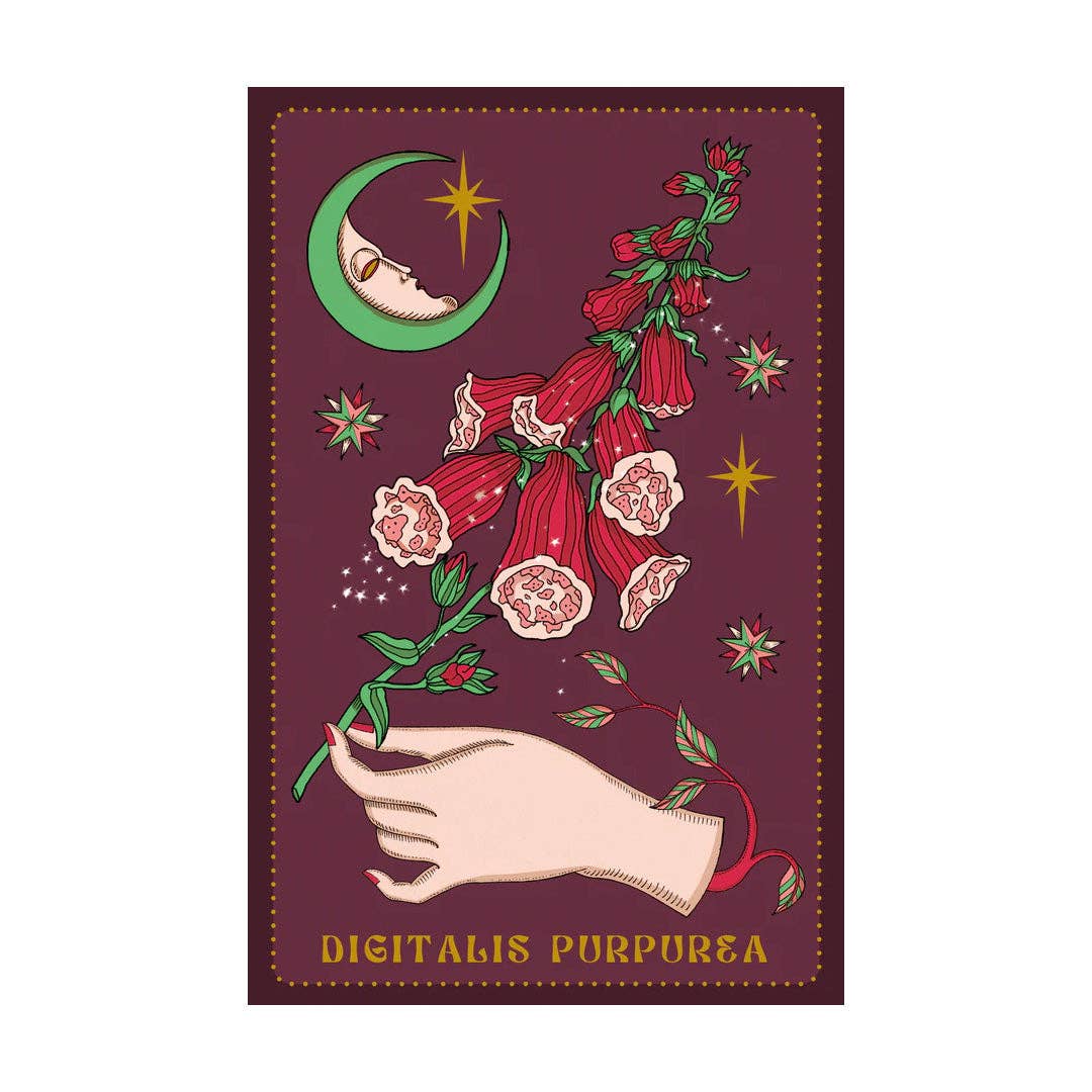 Cartas Oráculo Herbarium