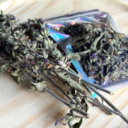 Salvia Mediterránea (5g) – Purificación, visión y sanación espiritual